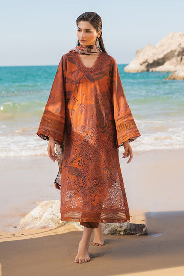 Baroque UF-4113 Online Shopping